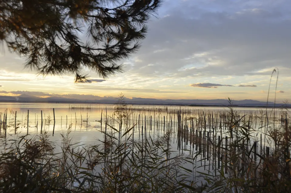 Embarcadero de L'Albufera al atardecer, con el cañizo en primer plano